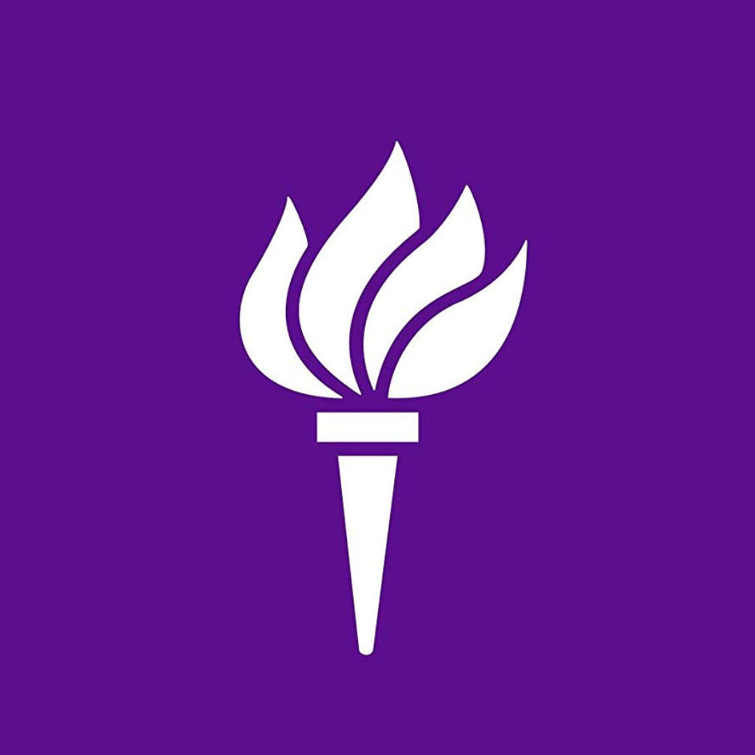 NYU Logo Hover